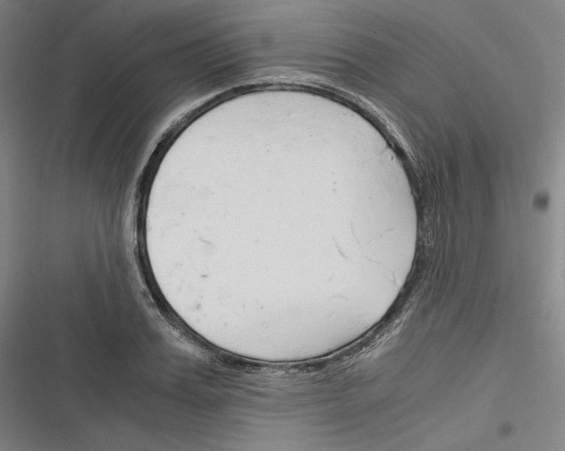 X0000116260987201001110950