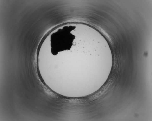 X0000116260988201001110950