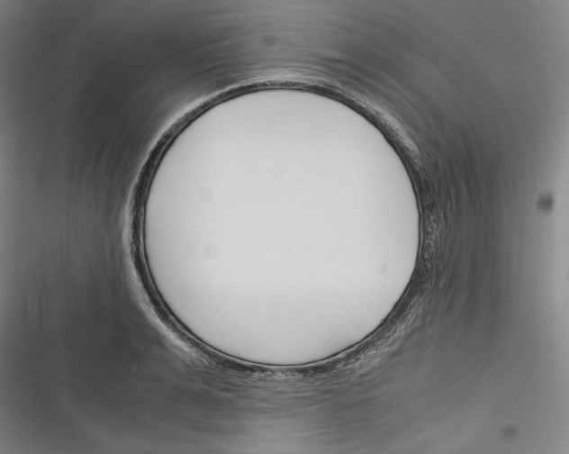 X0000116260991201001110950
