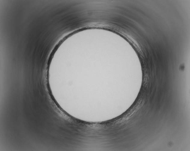 X0000116260992201001110950