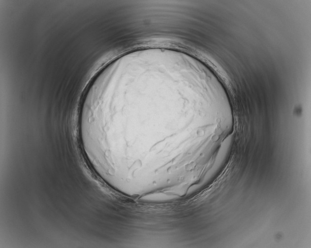 X0000116260994201001110950