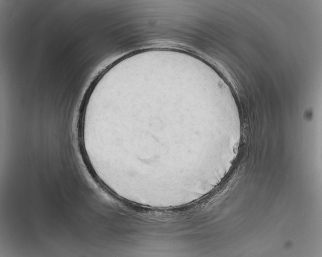 X0000116260995201001110950