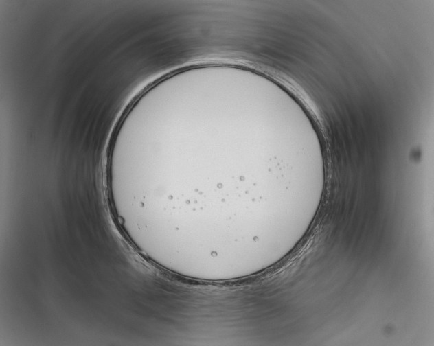 X0000116260996201001110950