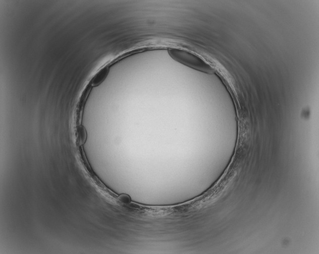 X0000116260997201001110950