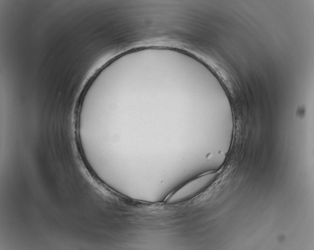 X0000116260998201001110949