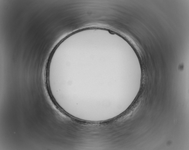 X0000116260999201001110949