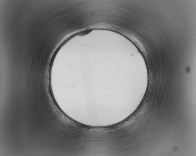 X0000116261000201001110949