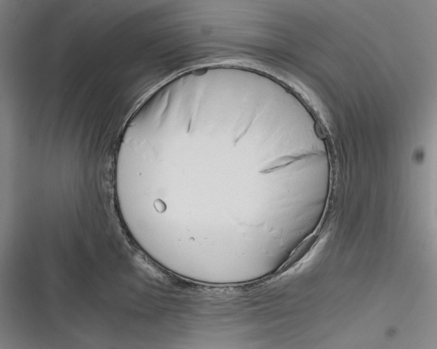 X0000116261001201001110949