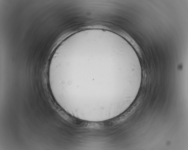 X0000116261002201001110949
