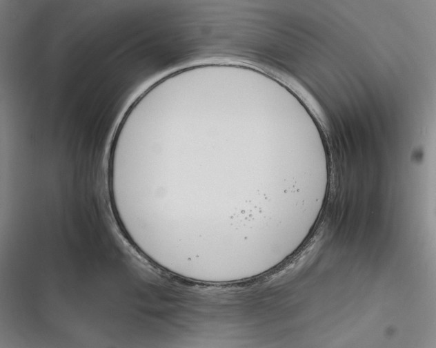 X0000116261004201001110949