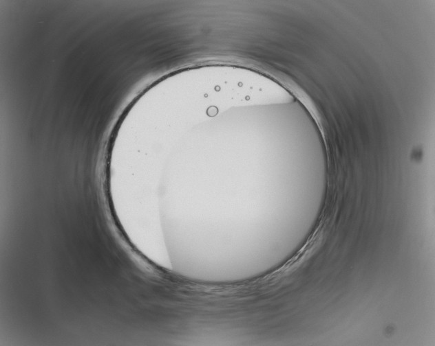 X0000116261005201001110949