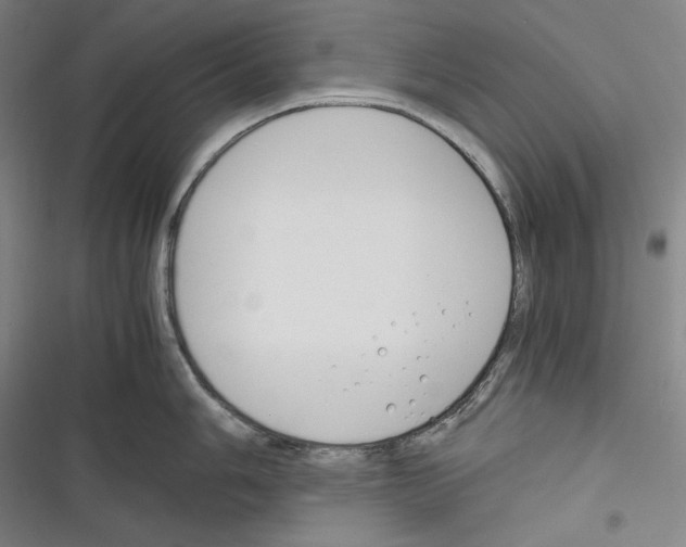 X0000116261006201001110949