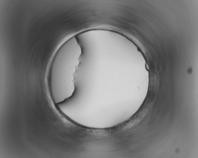 X0000116261007201001110949