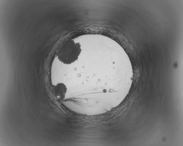 X0000116261009201001110949