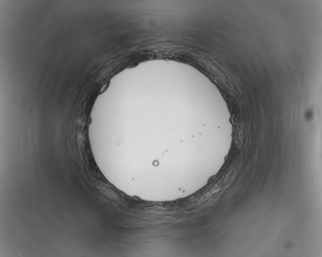 X0000116261010201001110949