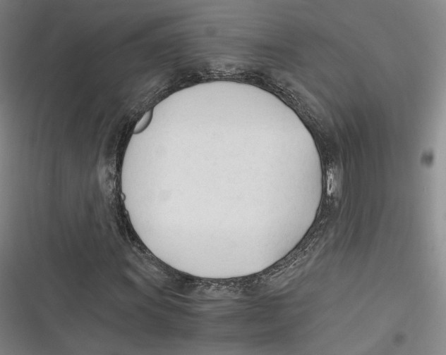 X0000116261011201001110949