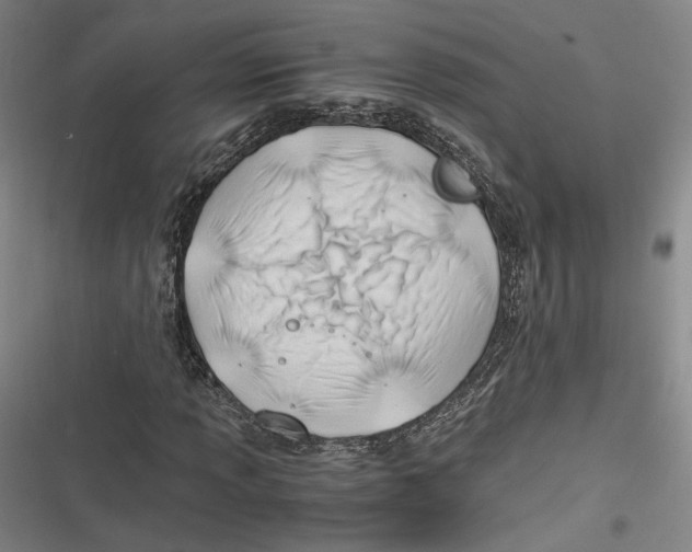 X0000116261013201001110949