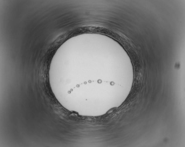 X0000116261014201001110949