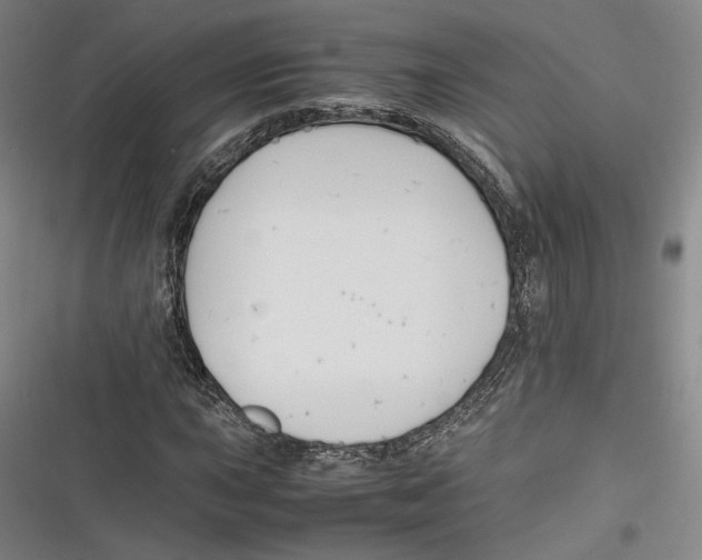 X0000116261015201001110949