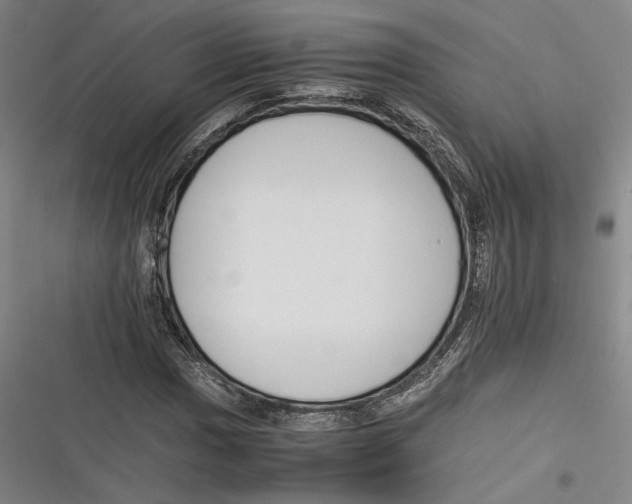 X0000116261017201001110949