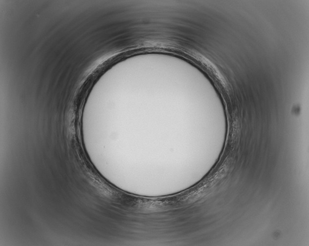 X0000116261019201001110949