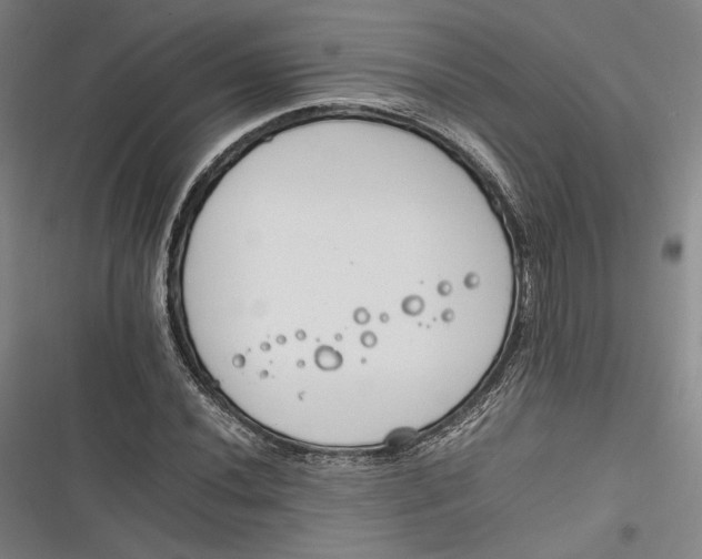 X0000116261020201001110949