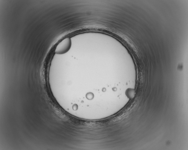 X0000116261022201001110949