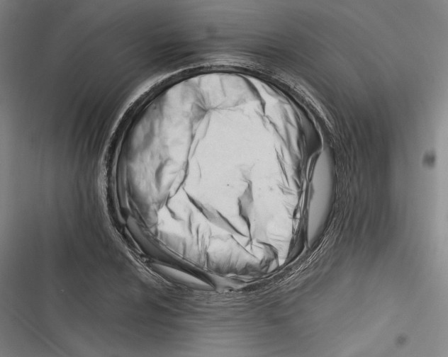 X0000116261024201001110949