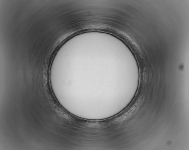 X0000116261025201001110949
