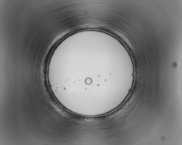 X0000116261026201001110949