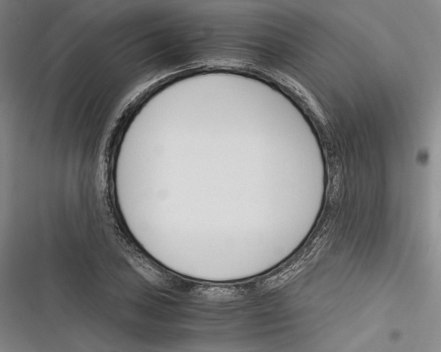 X0000116261027201001110949