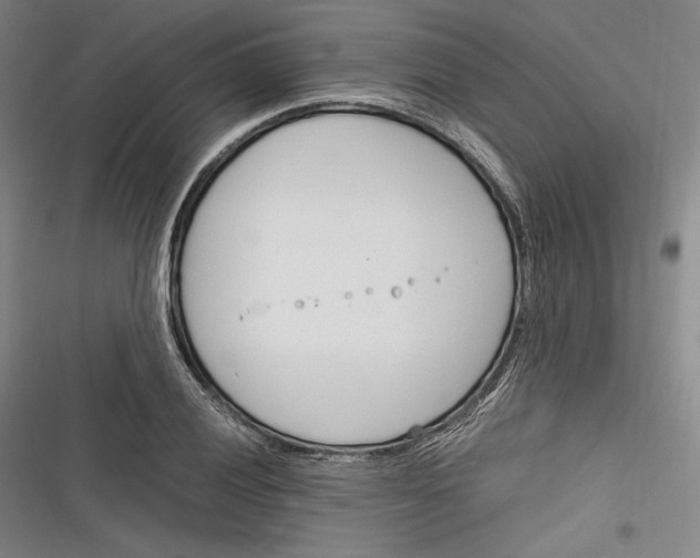 X0000116261028201001110949