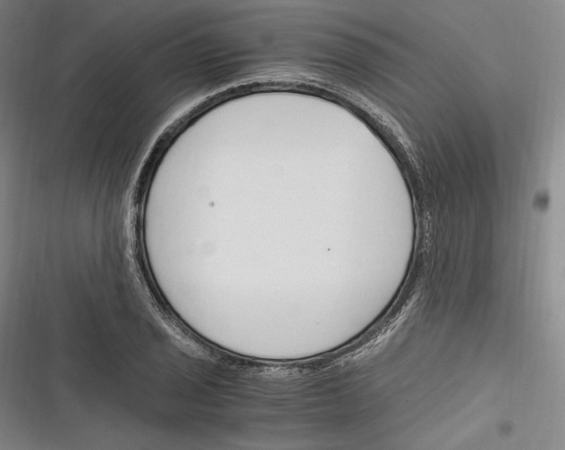 X0000116261029201001110949