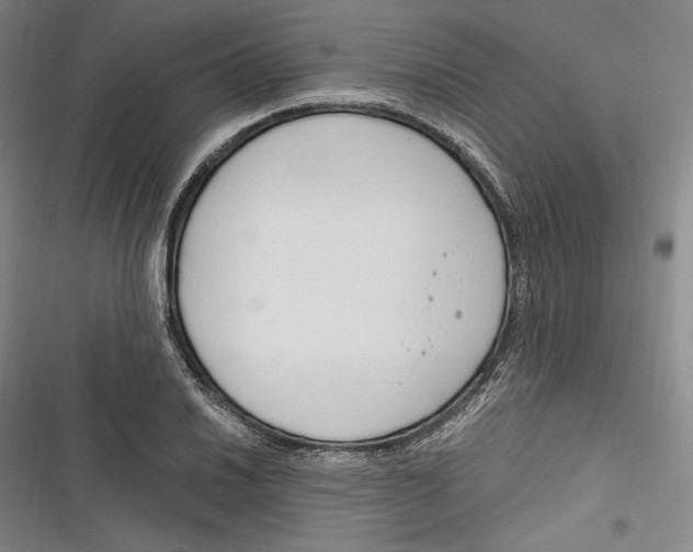 X0000116261030201001110949