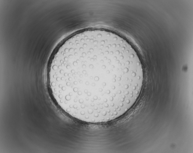 X0000116261032201001110949