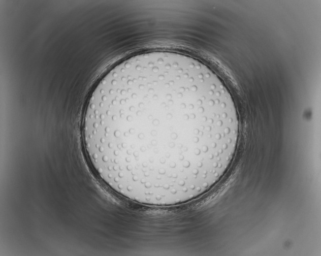 X0000116261033201001110949
