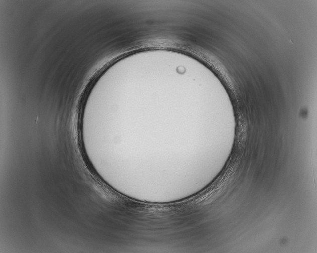 X0000116261035201001110949