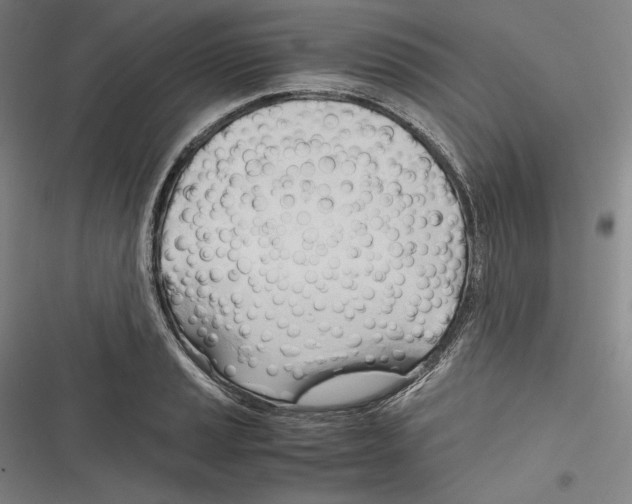 X0000116261037201001110949