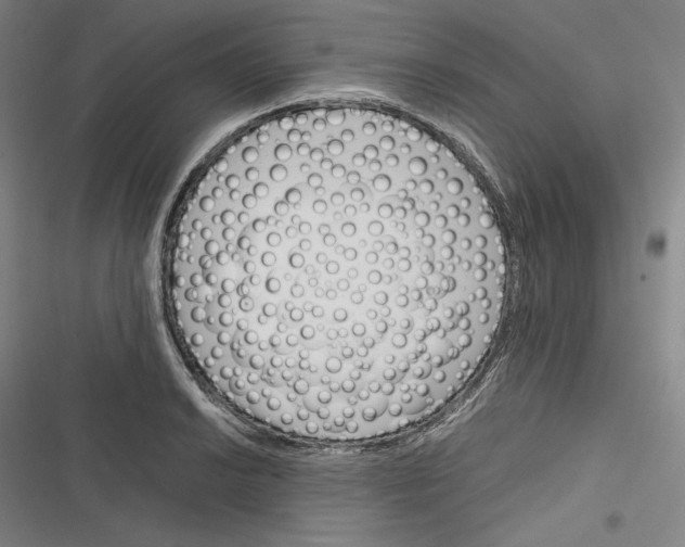 X0000116261038201001110949