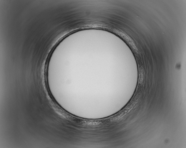 X0000116261039201001110949