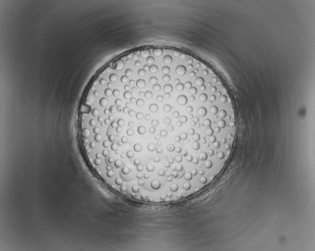 X0000116261040201001110949