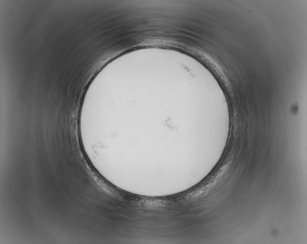 X0000116261041201001110949