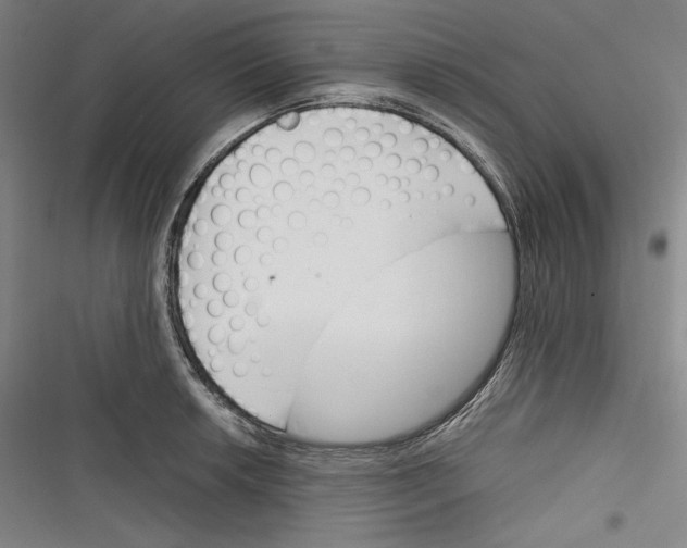 X0000116261042201001110949