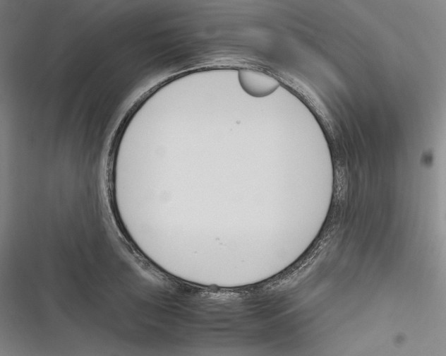 X0000116261043201001110949