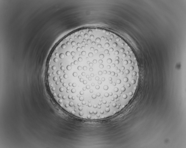 X0000116261044201001110949