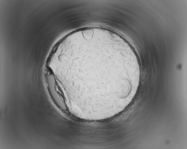 X0000116261045201001110949