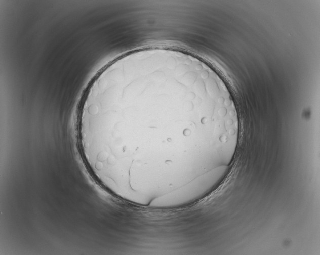 X0000116261046201001110949