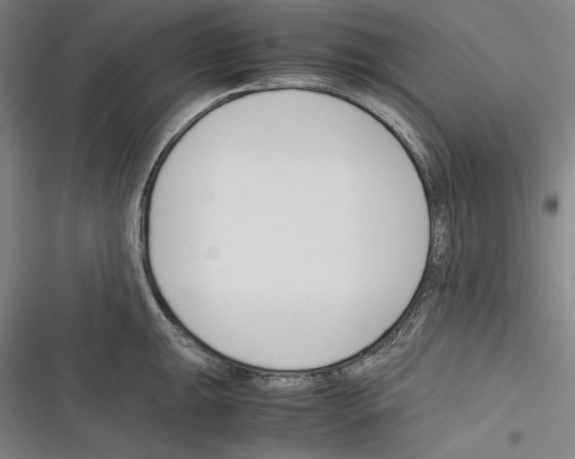 X0000116261047201001110949