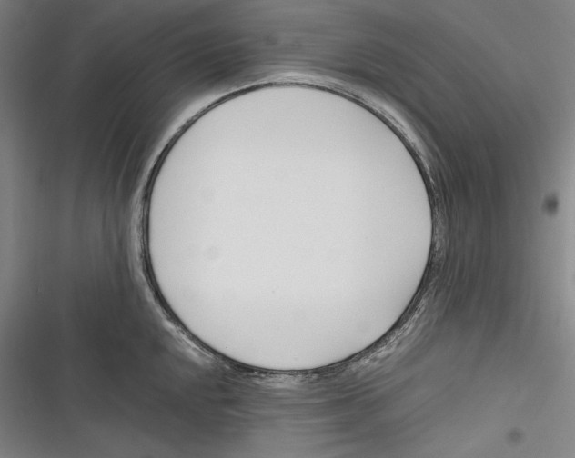 X0000116261048201001110949