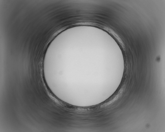 X0000116261049201001110949
